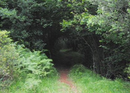 Parque Natural de Somiedo.