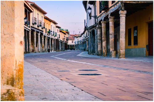 Ampudia Street in DaylightNecesito que