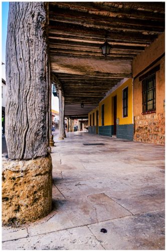 Ampudia Street in DaylightNecesito que