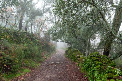 El Castañar de Montánchez