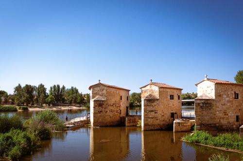 Zamora